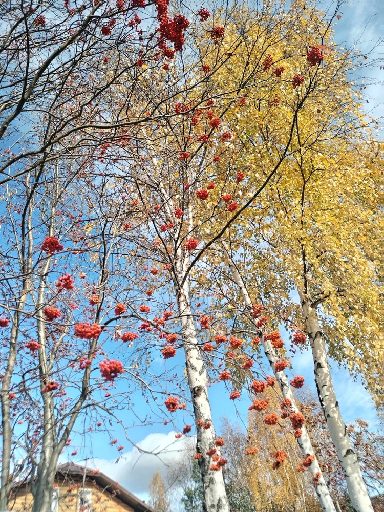 Image uploaded by Tusya