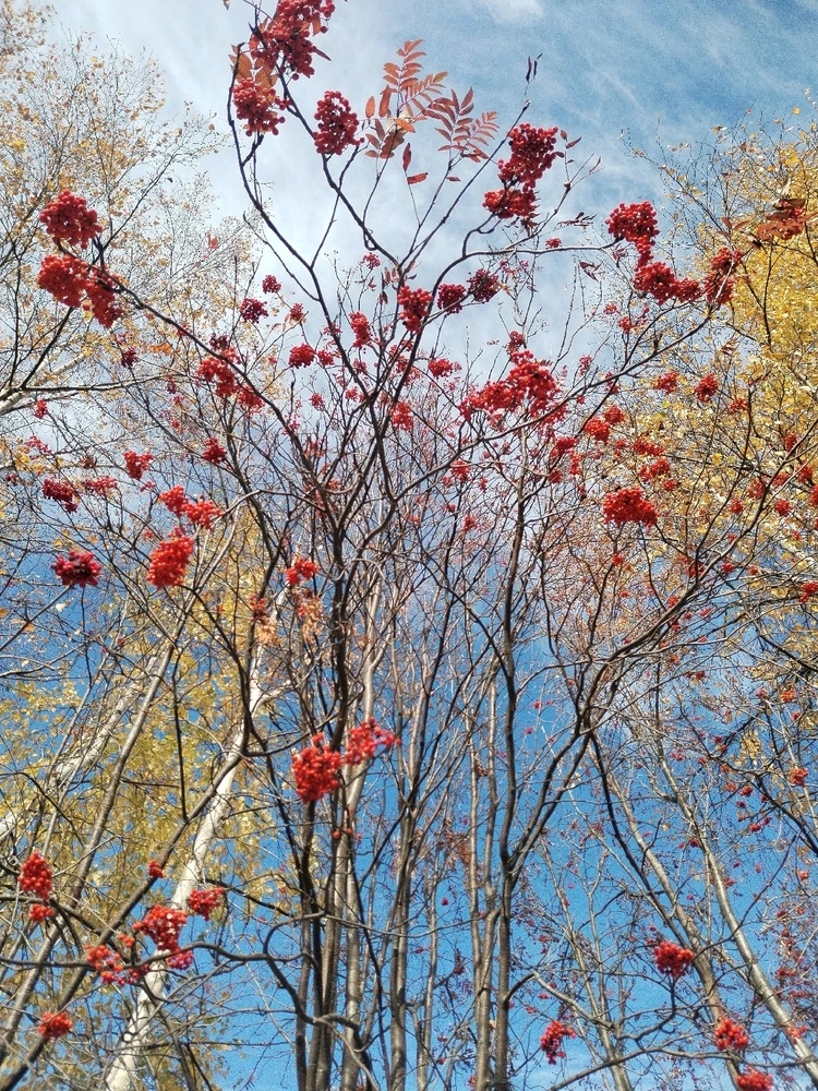 Image uploaded by Tusya