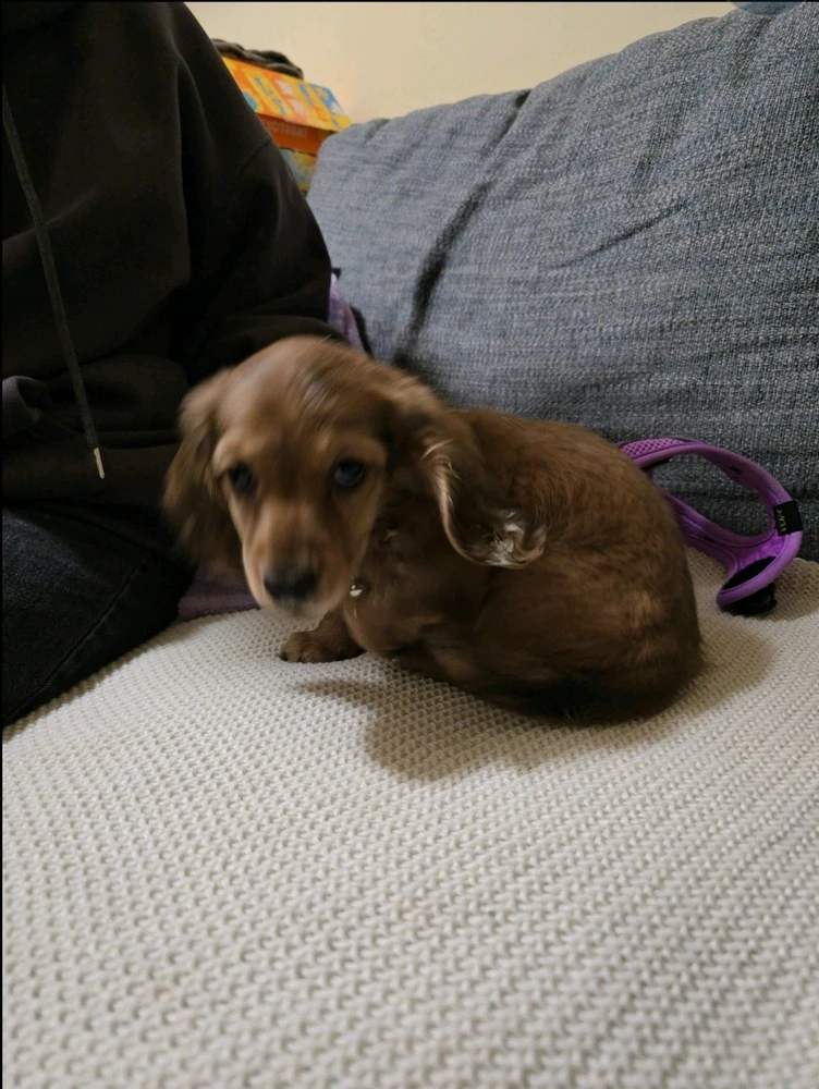 GIF uploaded by Heartbloom