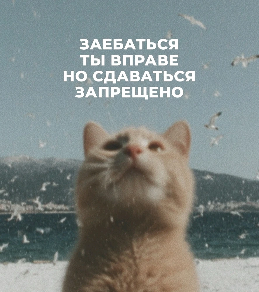 GIF загрузил Juliya