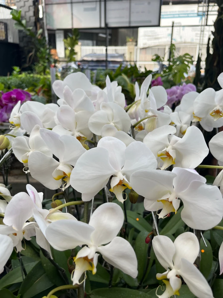 GIF uploaded by Mauly