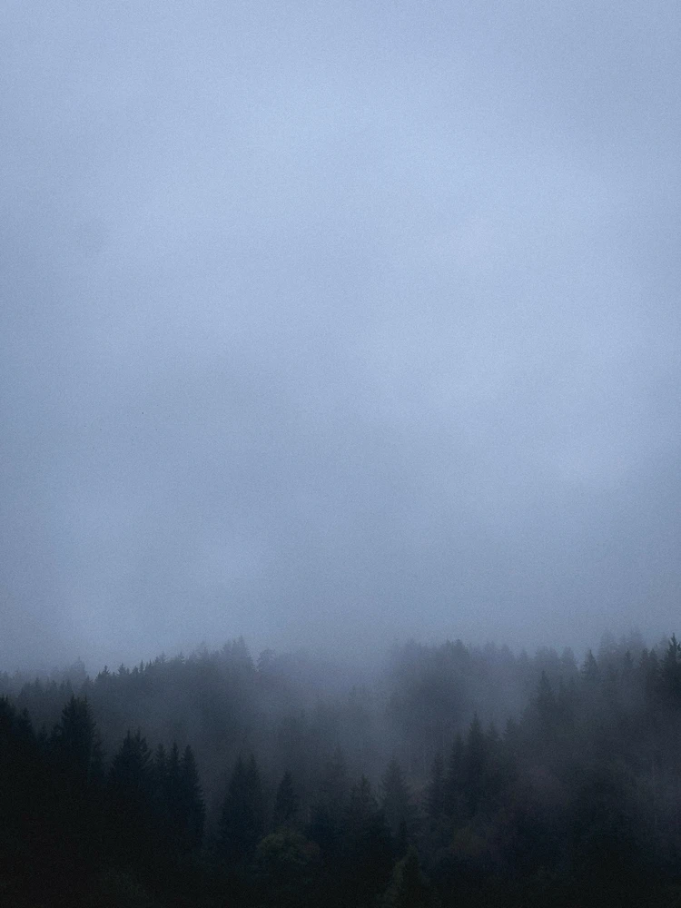 GIF nahrál Filip