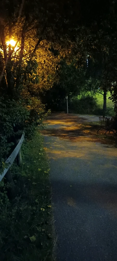 Image uploaded by Lise