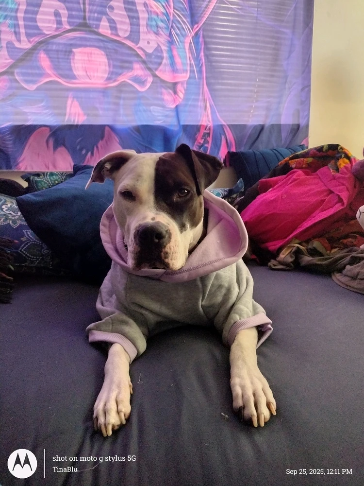 Image uploaded by Tina