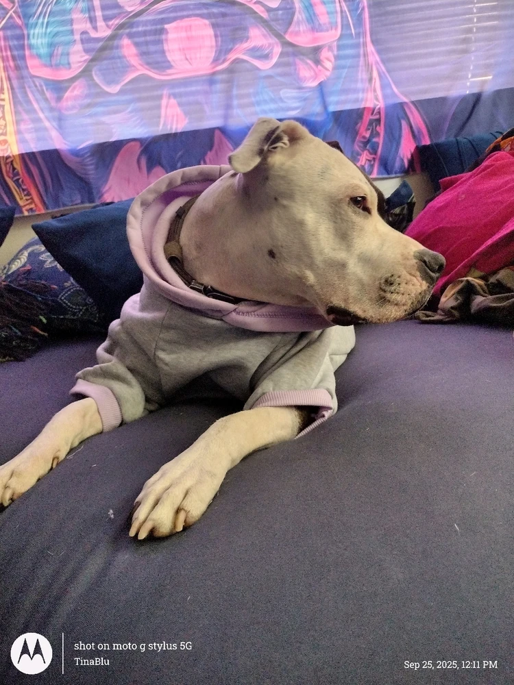 Image uploaded by Tina