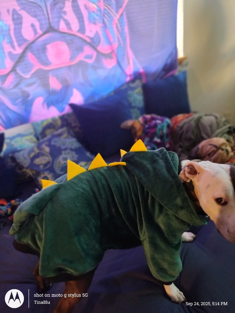 Image uploaded by Tina