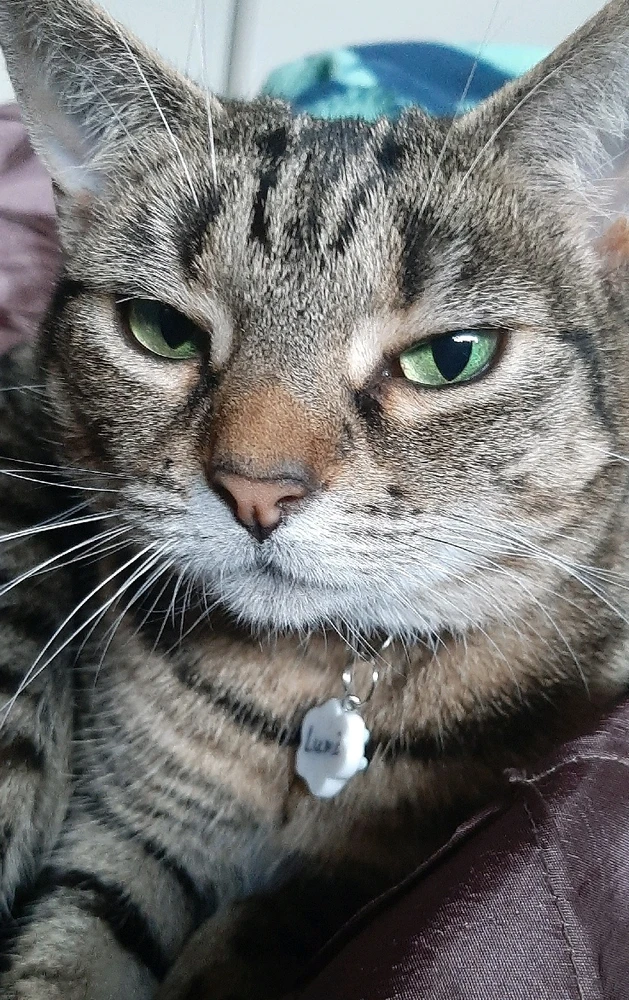 GIF uploaded by Nat RB