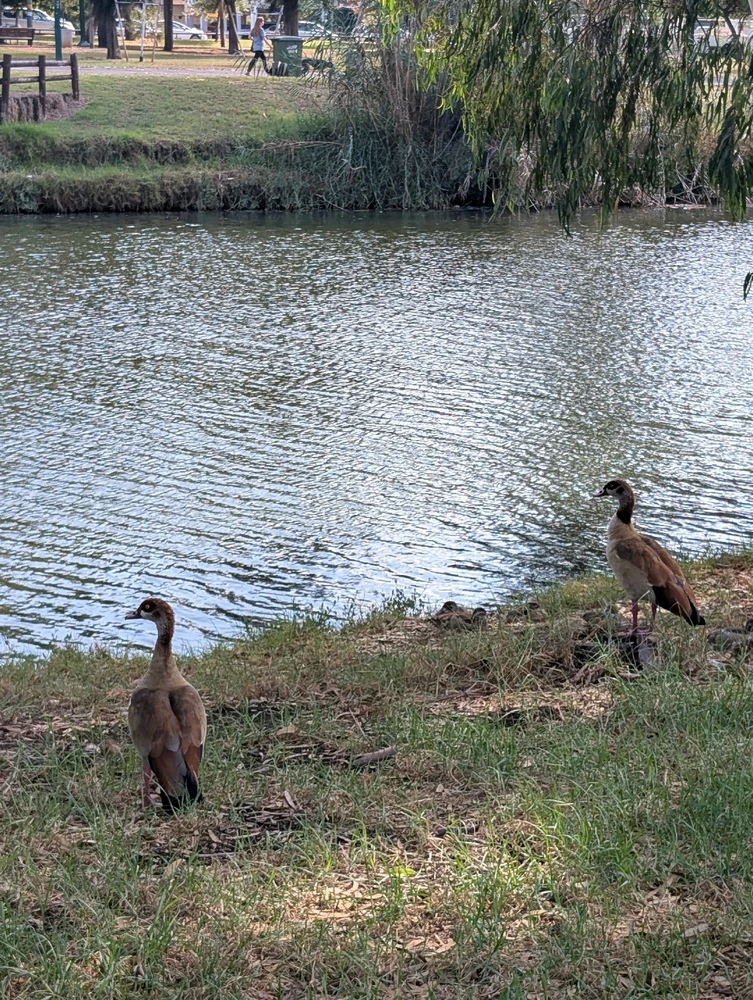 GIF uploaded by Aviv