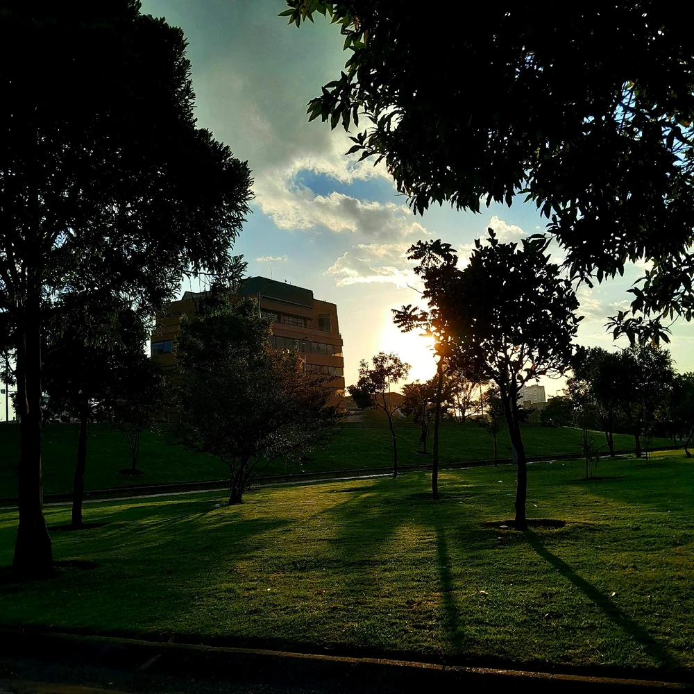 Imagen subida por Alejo