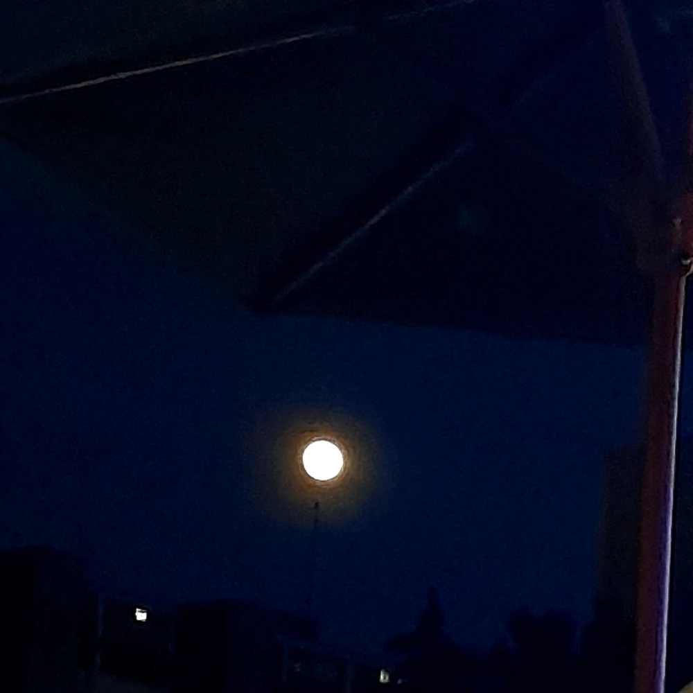 Imagen subida por Alejo