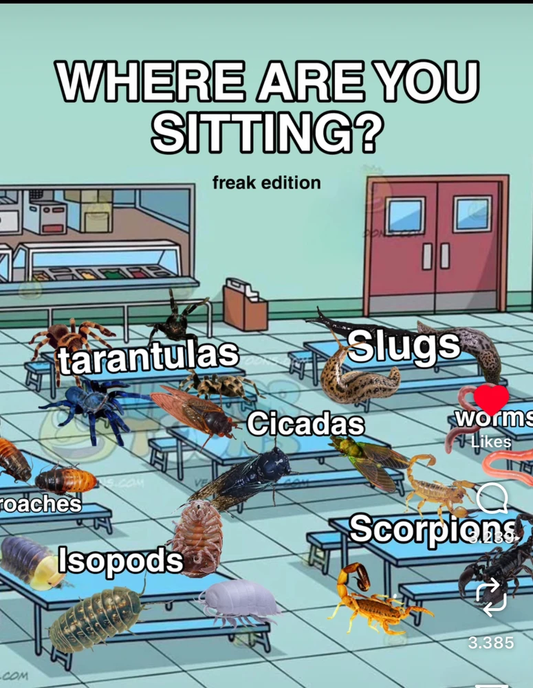 GIF uploaded by Sarah