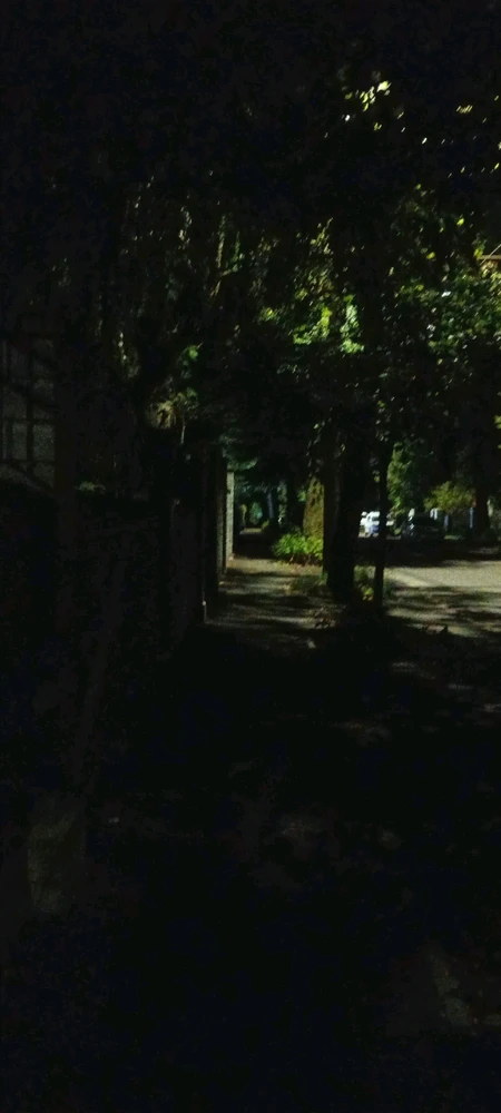 Image uploaded by Ева (Eva)