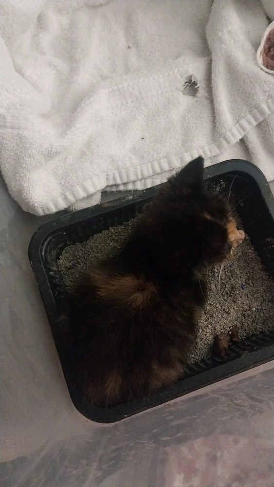 GIF uploaded by Mike