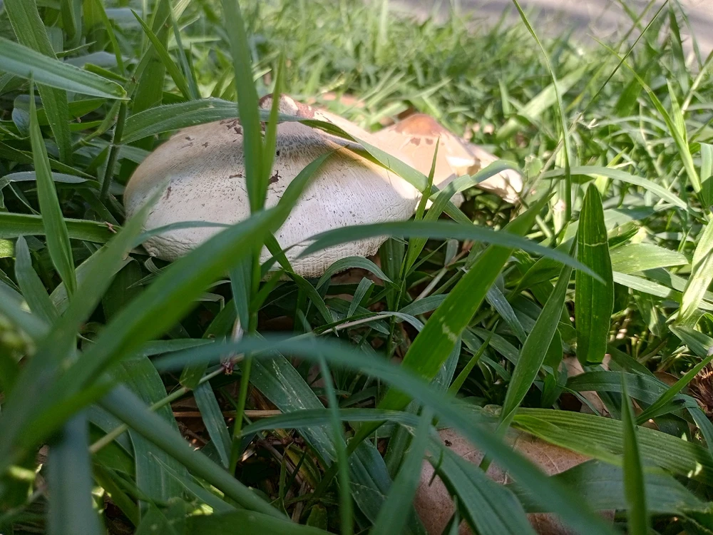 由𝐾𝑎𝑒𝑙 𝑁𝑖𝑒𝑡上传的图片