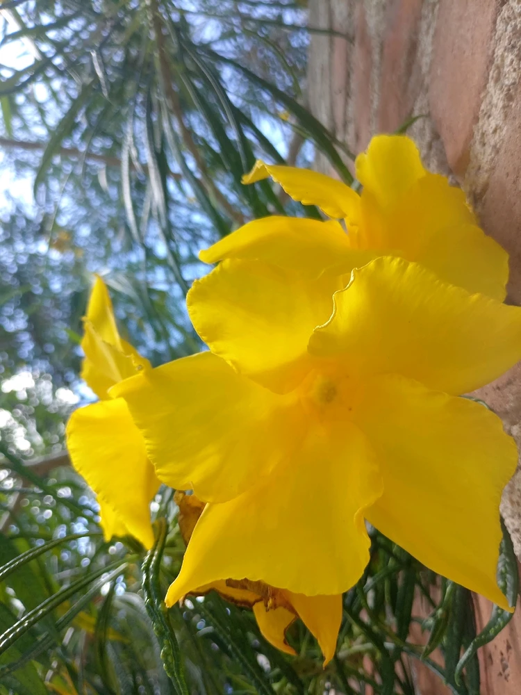 GIF subido por Cristian