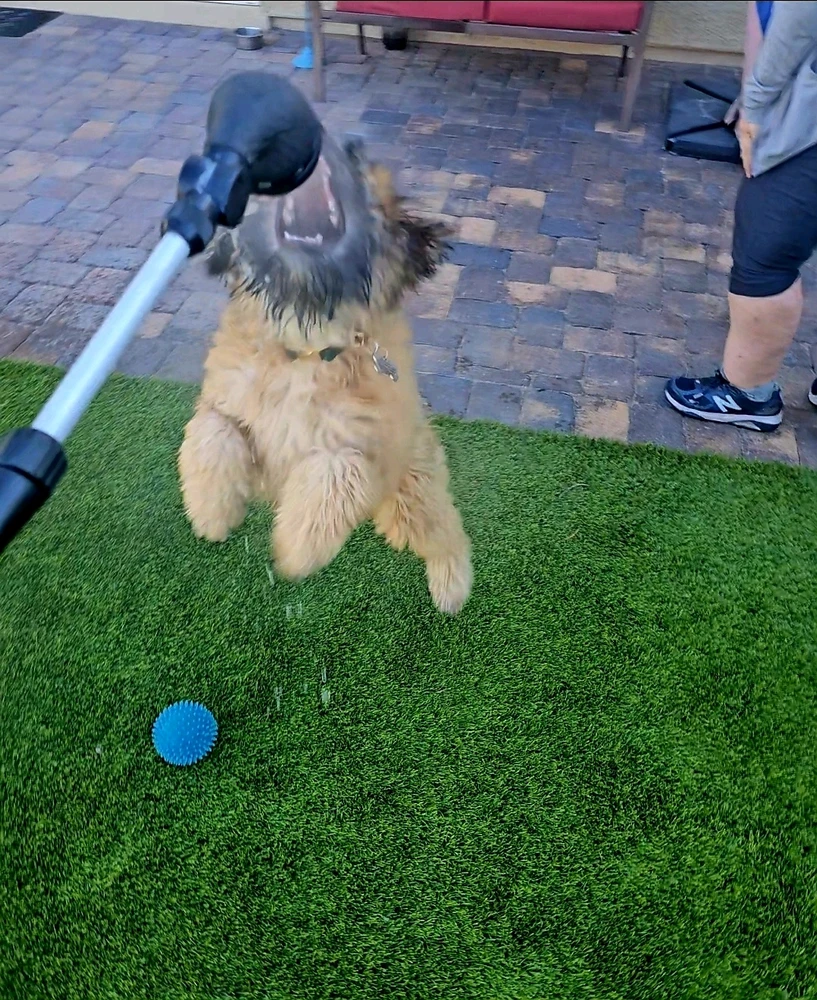 GIF uploaded by AJ