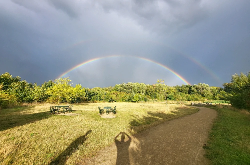 GIF geüpload door Brain