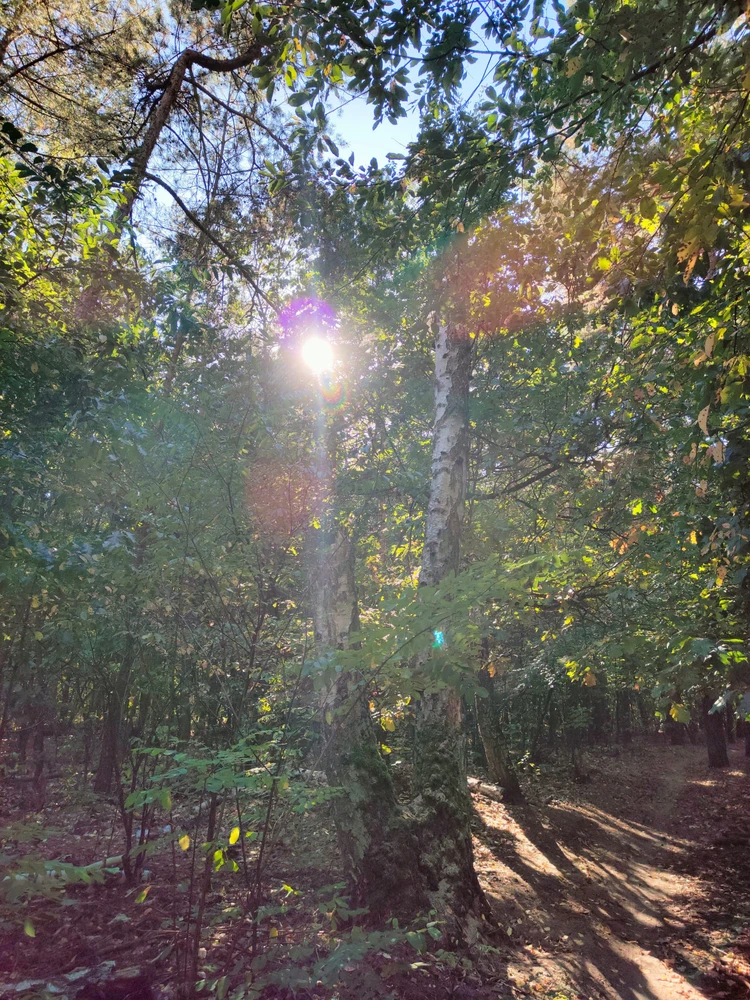 Zdjęcie dodane przez ᛏᛟᛗᚨᛊᛉ