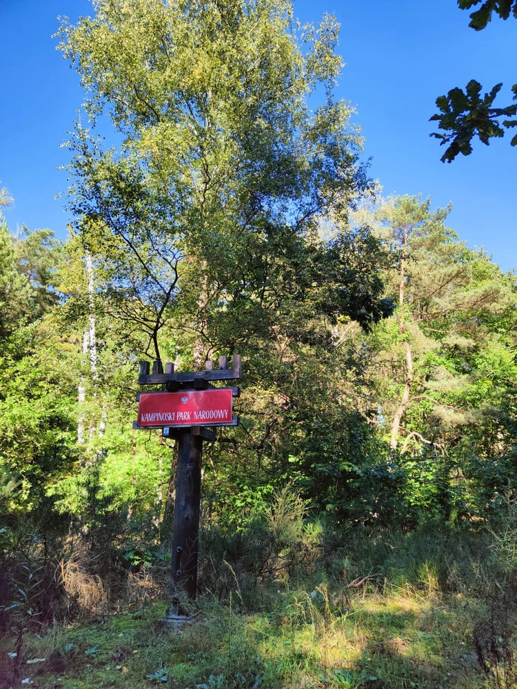 Zdjęcie dodane przez ᛏᛟᛗᚨᛊᛉ