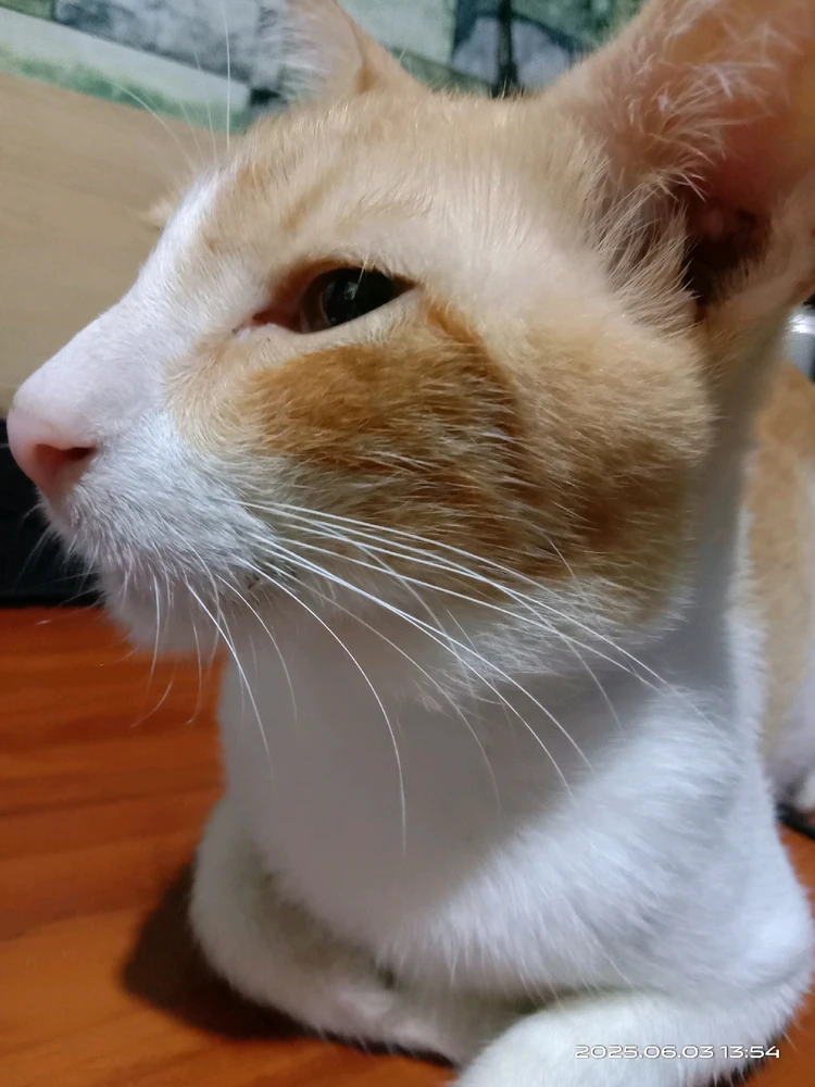 Image uploaded by πJπoπeπyπ