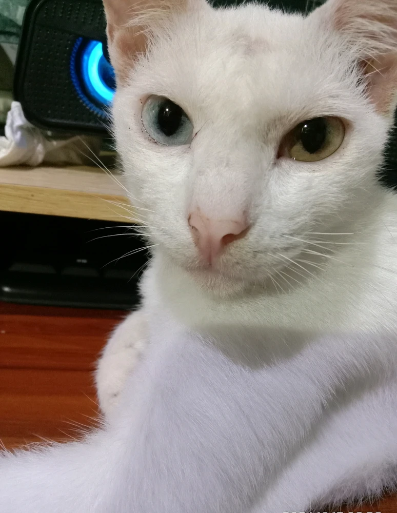 Image uploaded by πJπoπeπyπ