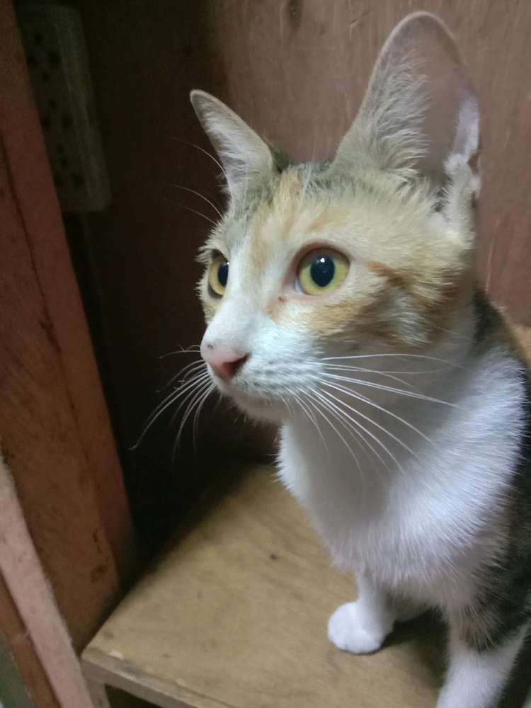 Image uploaded by πJπoπeπyπ