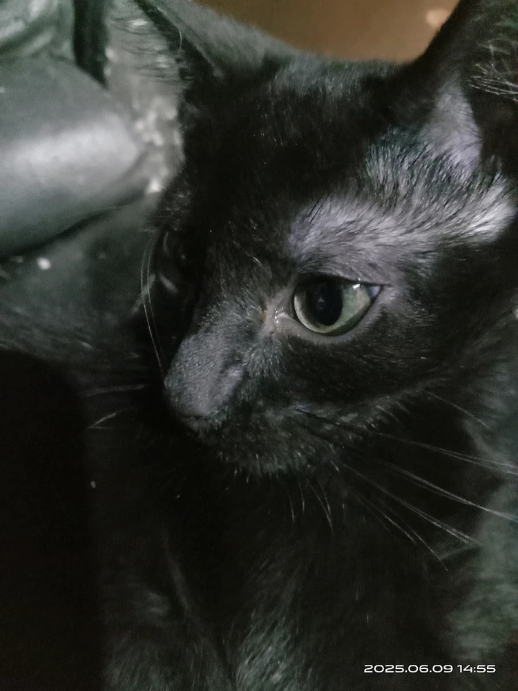 Image uploaded by πJπoπeπyπ