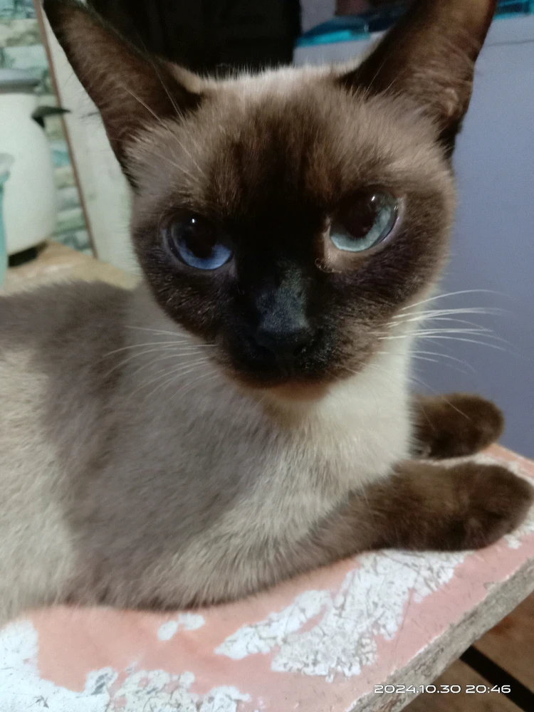 Image uploaded by πJπoπeπyπ