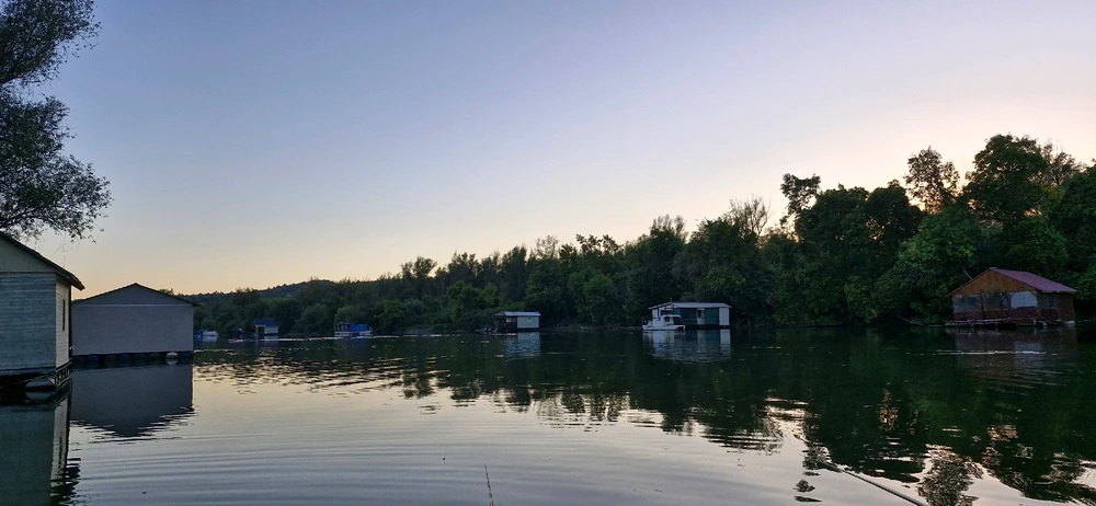 GIF otpremio/la Nikola