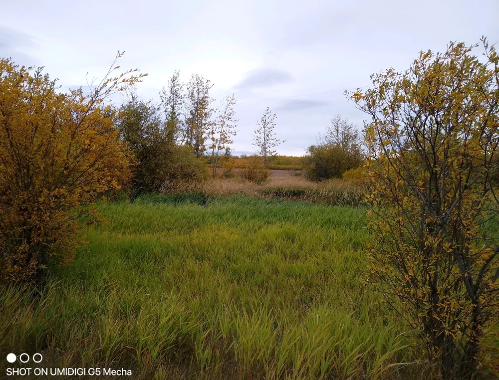 GIF uploaded by Russ