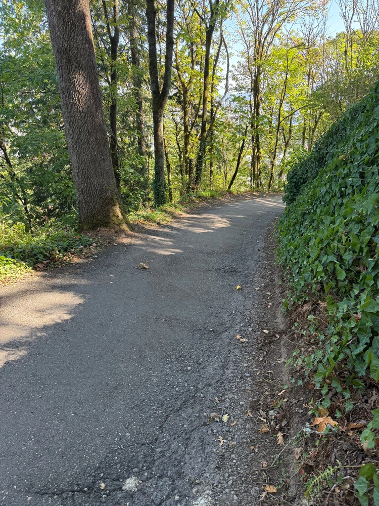 Image uploaded by Stephen