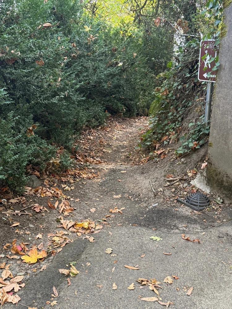 Image uploaded by Stephen