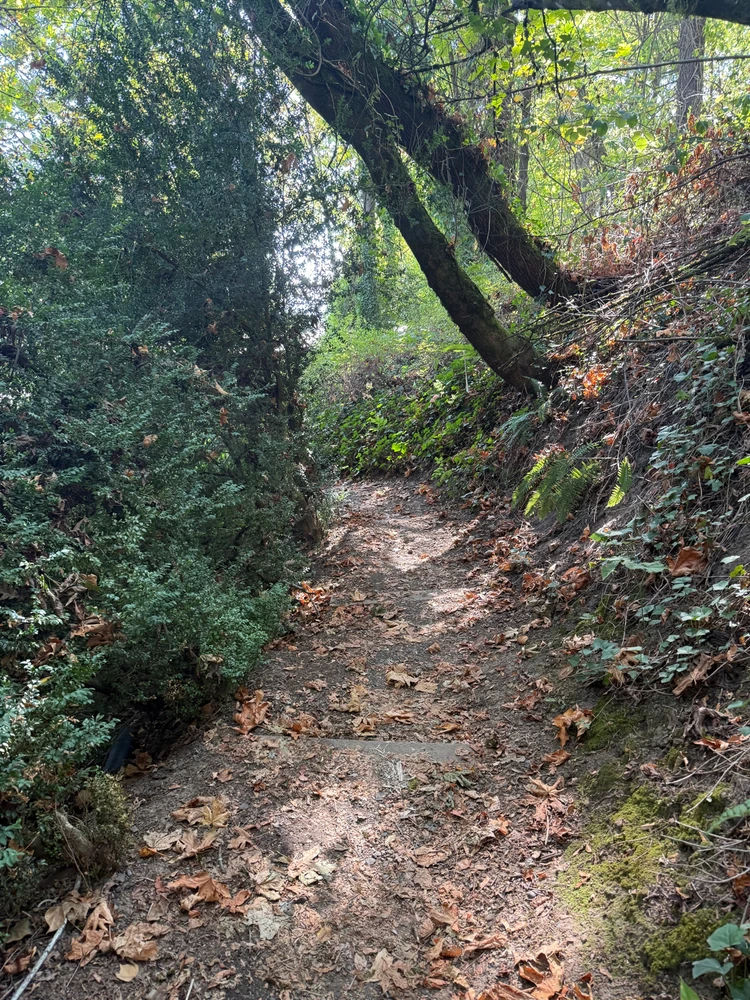 Image uploaded by Stephen