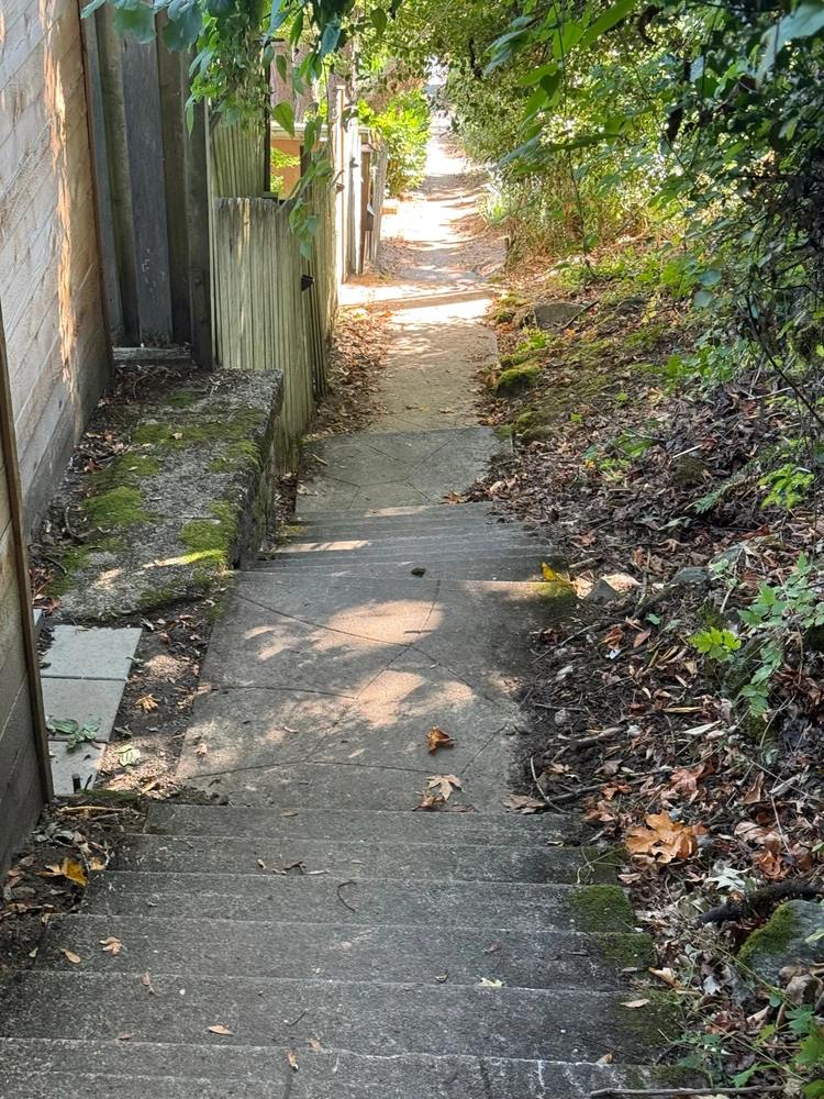 Image uploaded by Stephen