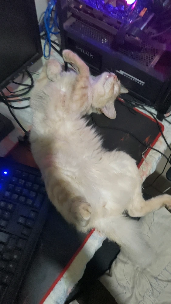 GIF enviado por Arthur