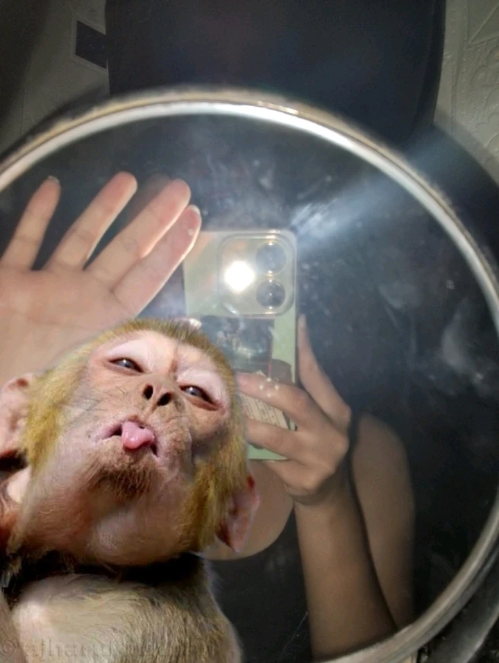 Gambar diunggah dening Hanael