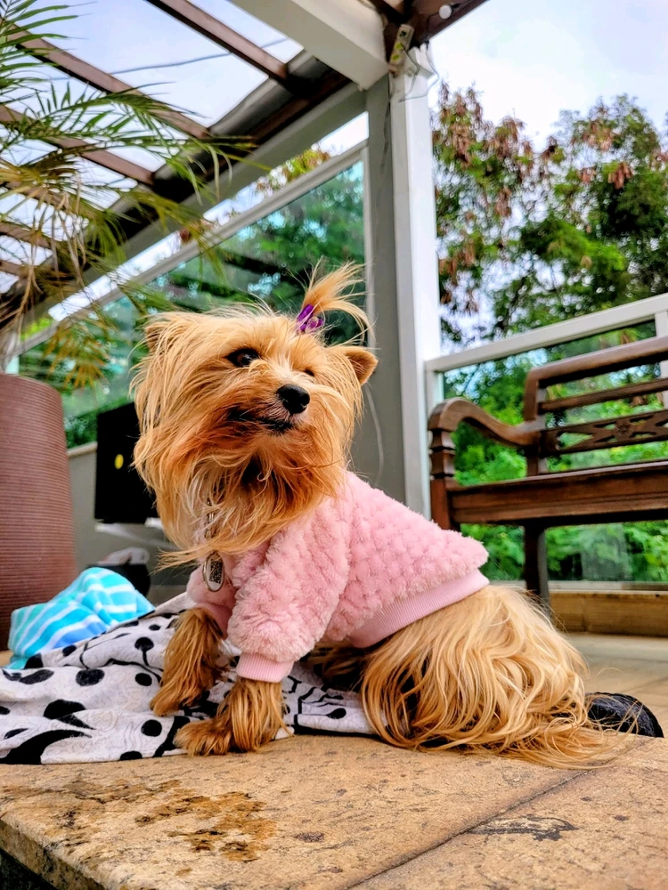 GIF enviado por Kelly