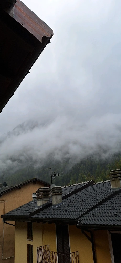 GabrieleがアップロードしたGIF