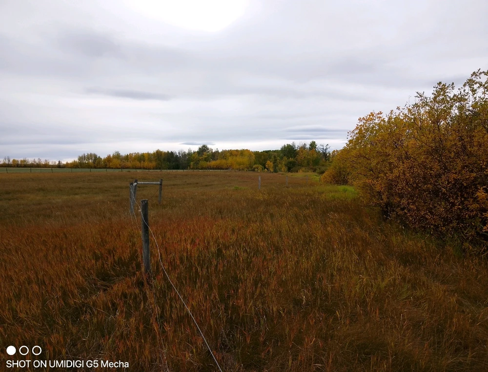 GIF uploaded by Russ