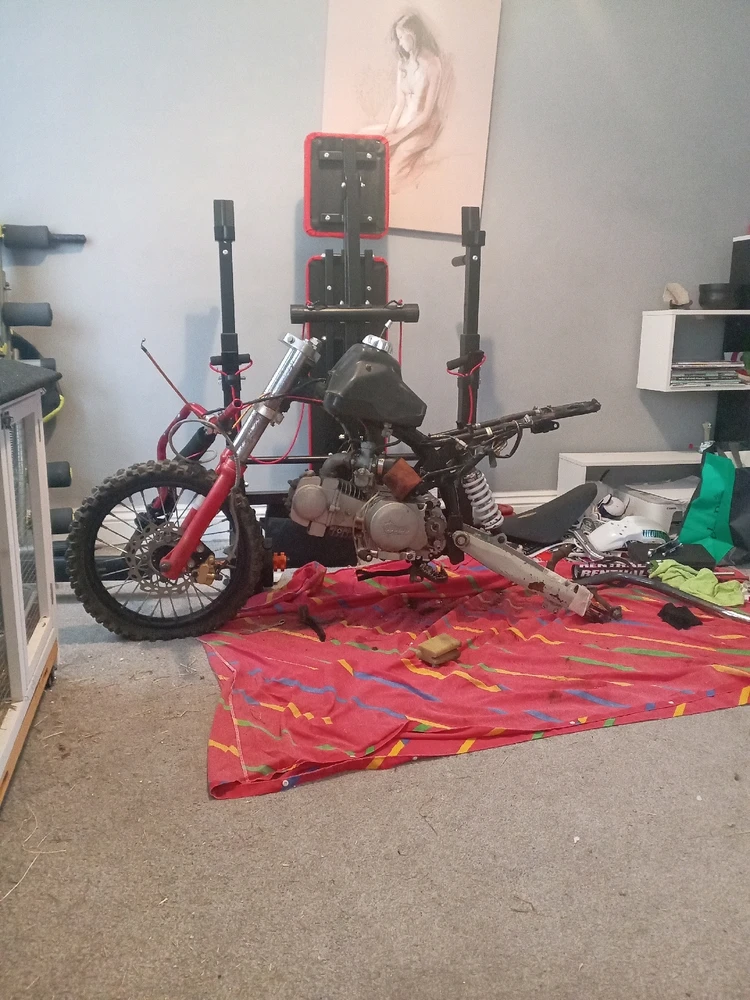 GIF diunggah dening Rob