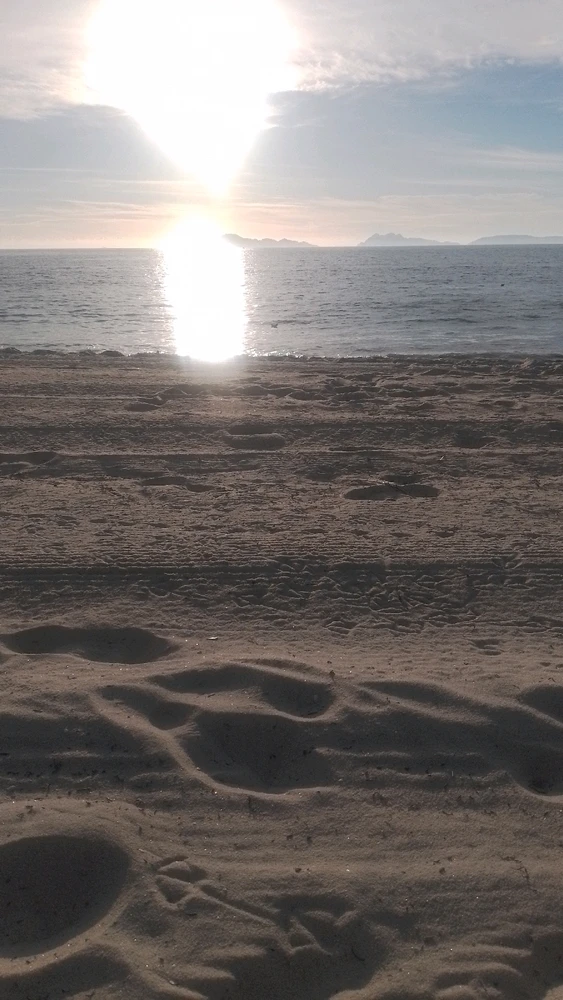 Salo tarafından yüklenen GIF