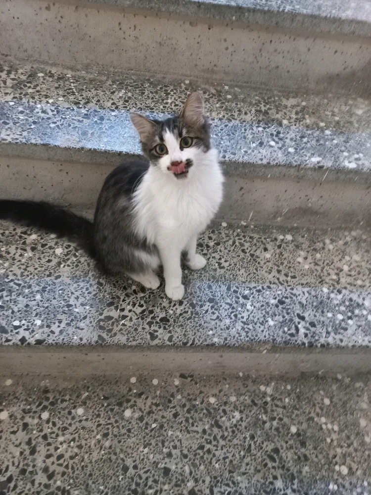 Selim tarafından yüklenen GIF