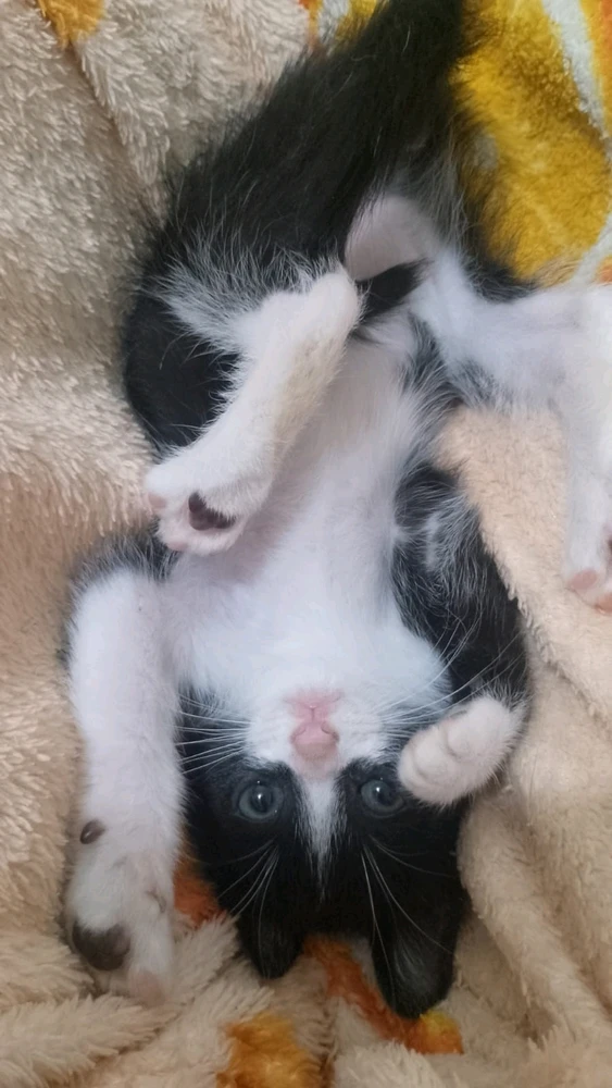 GIF enviado por Luan