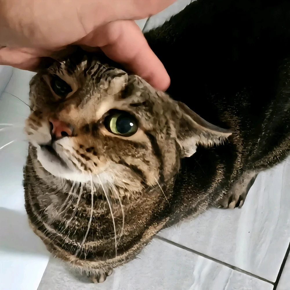 Image uploaded by Su Purrschaman