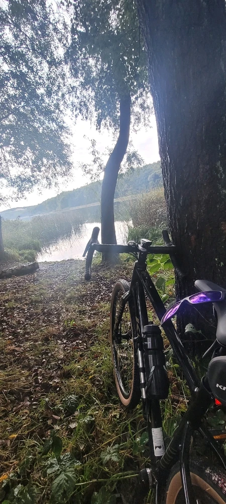 GIF dodany przez Morphik