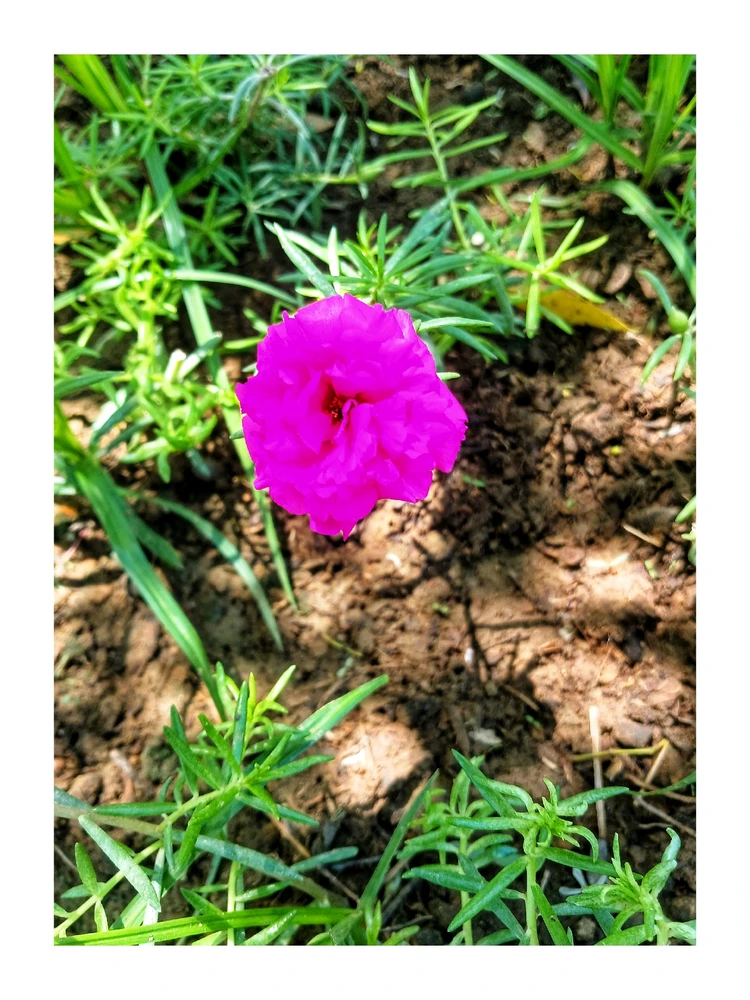 GIF subido por Blanca