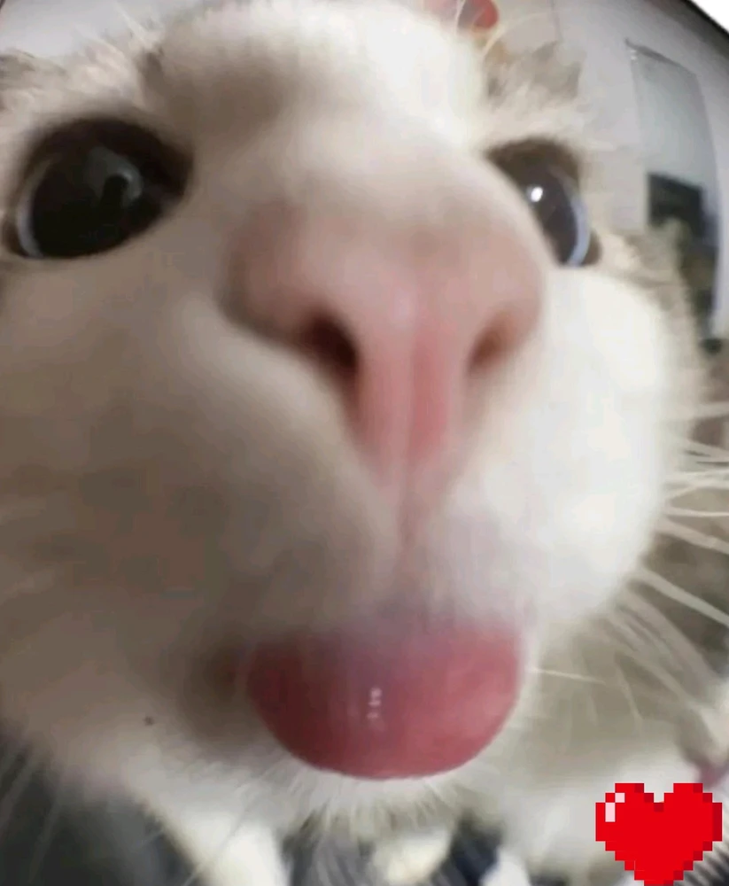 GIF subido por Blanca