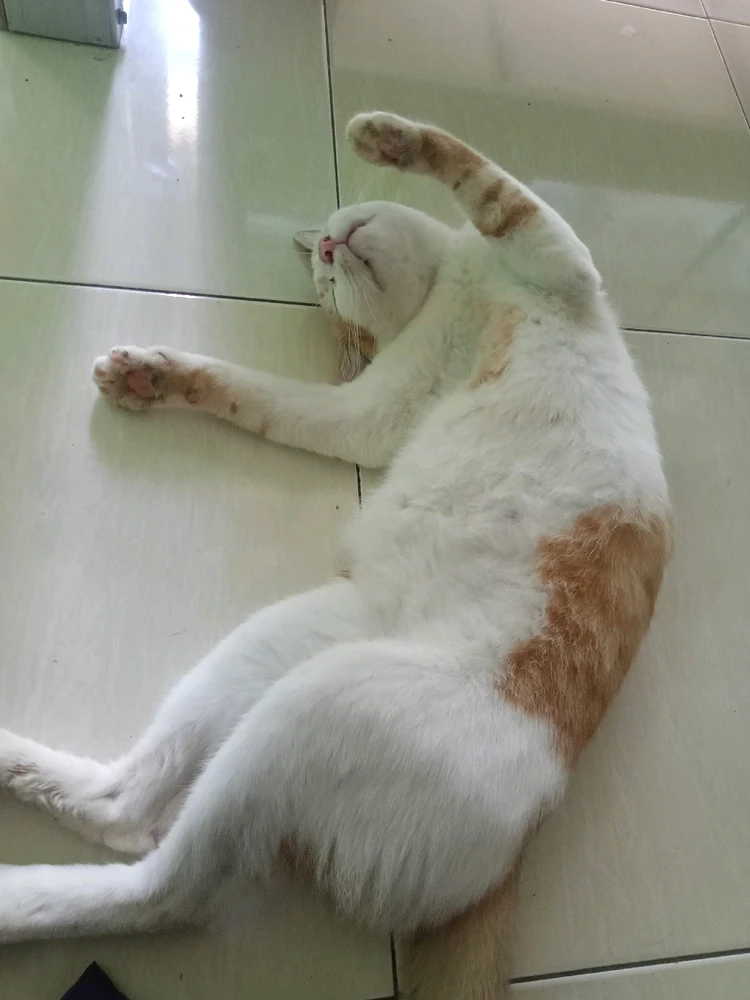 GIF diunggah oleh Ismi Fauziah