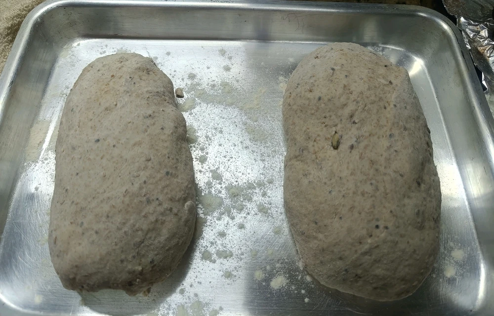 Imagem enviada por Elaine