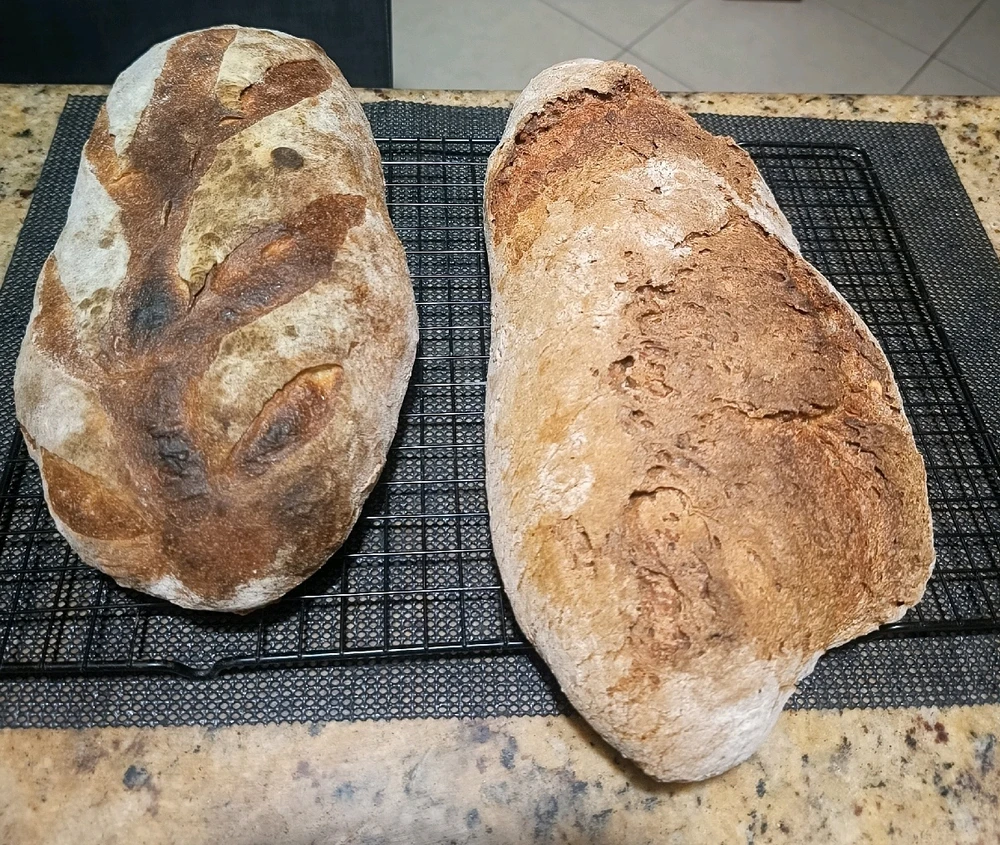 Imagem enviada por Elaine